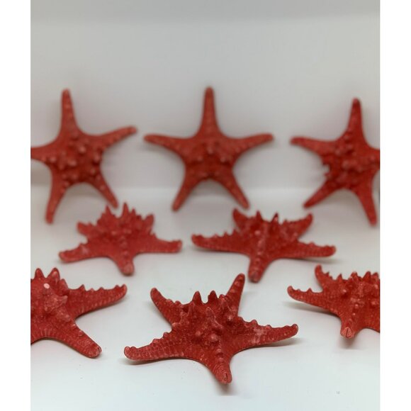 Red Decorative Starfish Set of 8 - 5" Textured Coastal Beach Nautical Decor - Picture 10 of 10